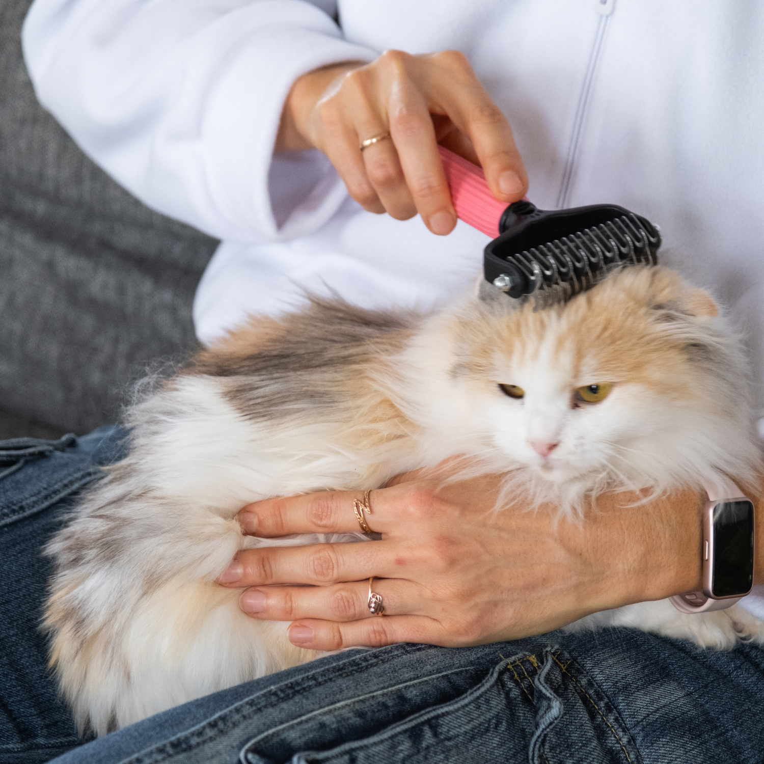 Premium Cat Products